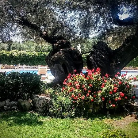 Ξενοδοχείο με διαμερίσματα Kyprianos 3*